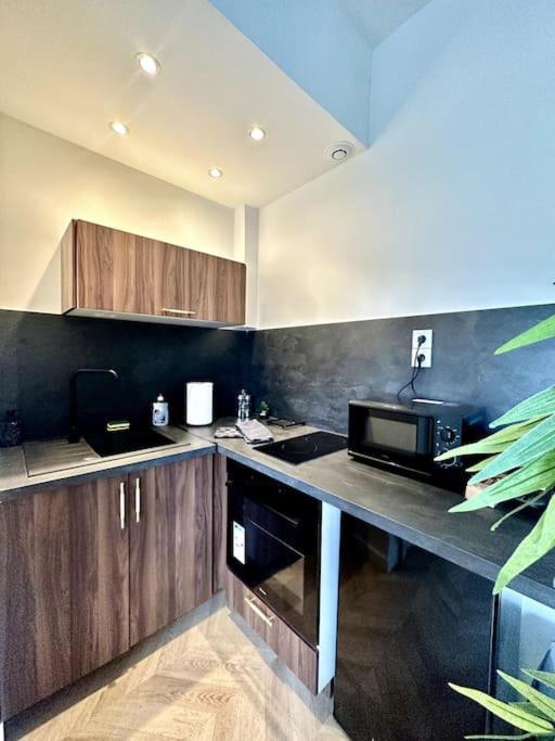 L'Amazonia : Face A La Basilique Parking Gratuit Apartment Булон сюр Мер Екстериор снимка